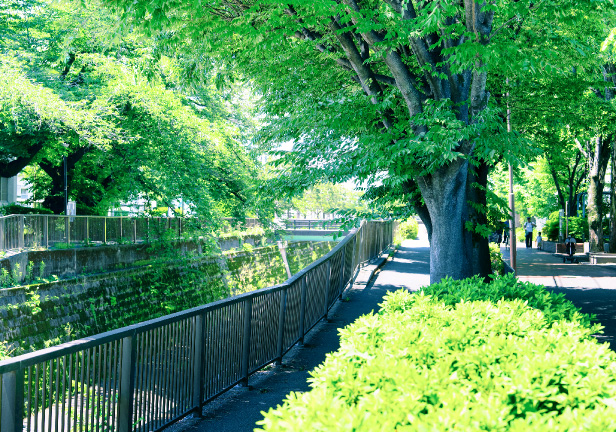 妙正寺川(徒歩7分/約500m)