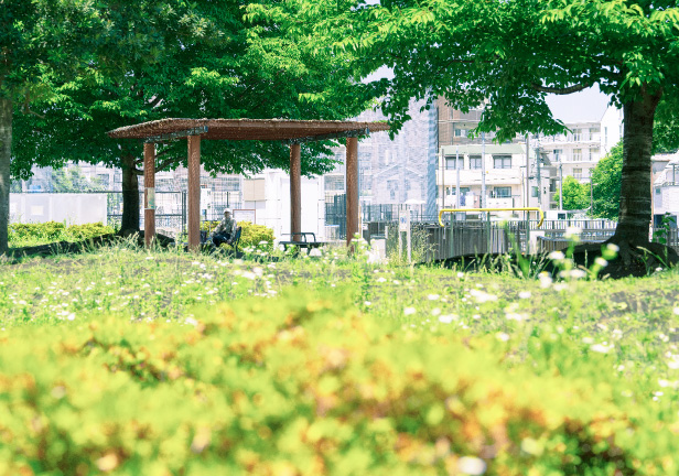 かしの⽊公園(徒歩11分/約810m)