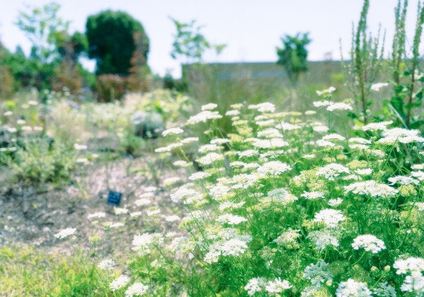 練⾺城址公園(自転車11分/約2,560m)