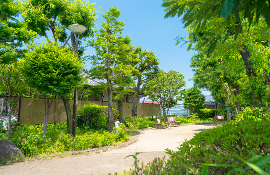 かしの⽊公園（徒歩11分／約811m）