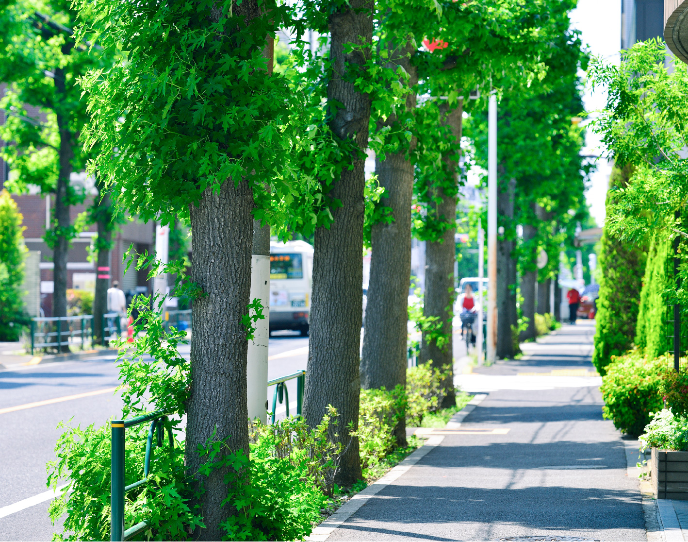 現地周辺の街並み（徒歩2分／約150m）
