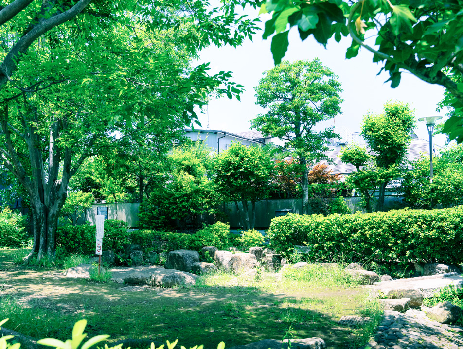 かしの⽊公園（徒歩11分／約810m）