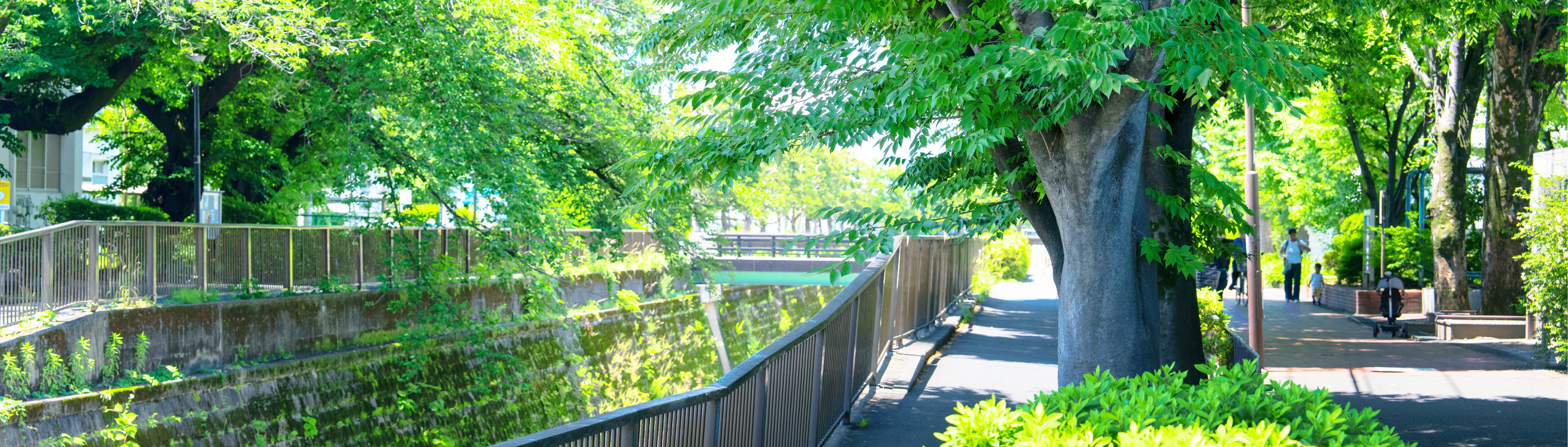 妙正寺川（徒歩7分／約500m）