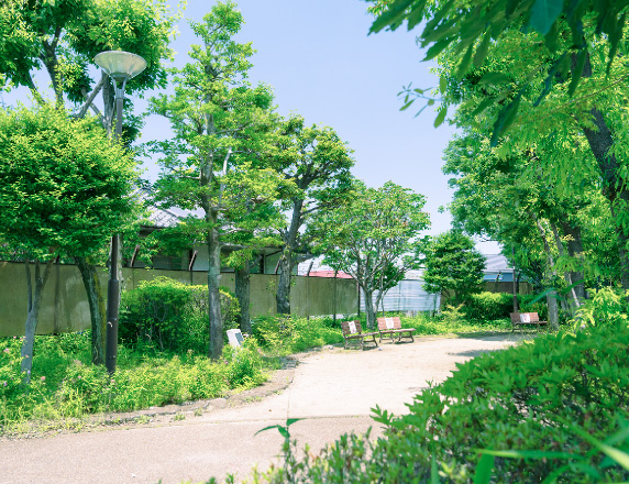 かしの⽊公園（徒歩11分／約810m）