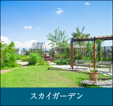 スカイガーデン